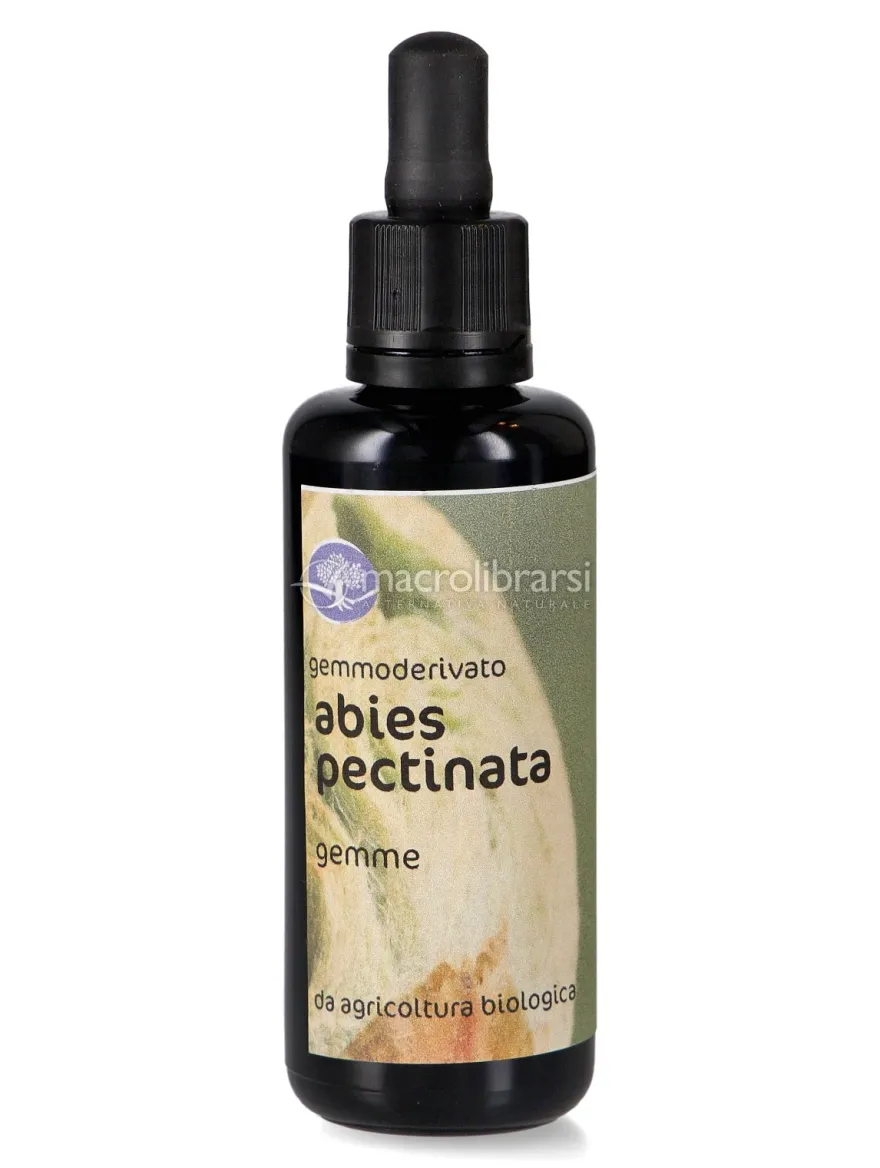 Abies Pectinata - Gemmoderivato Floripotenziato - Gemme