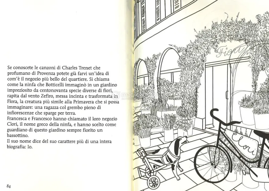Abile Disabile Formidabile