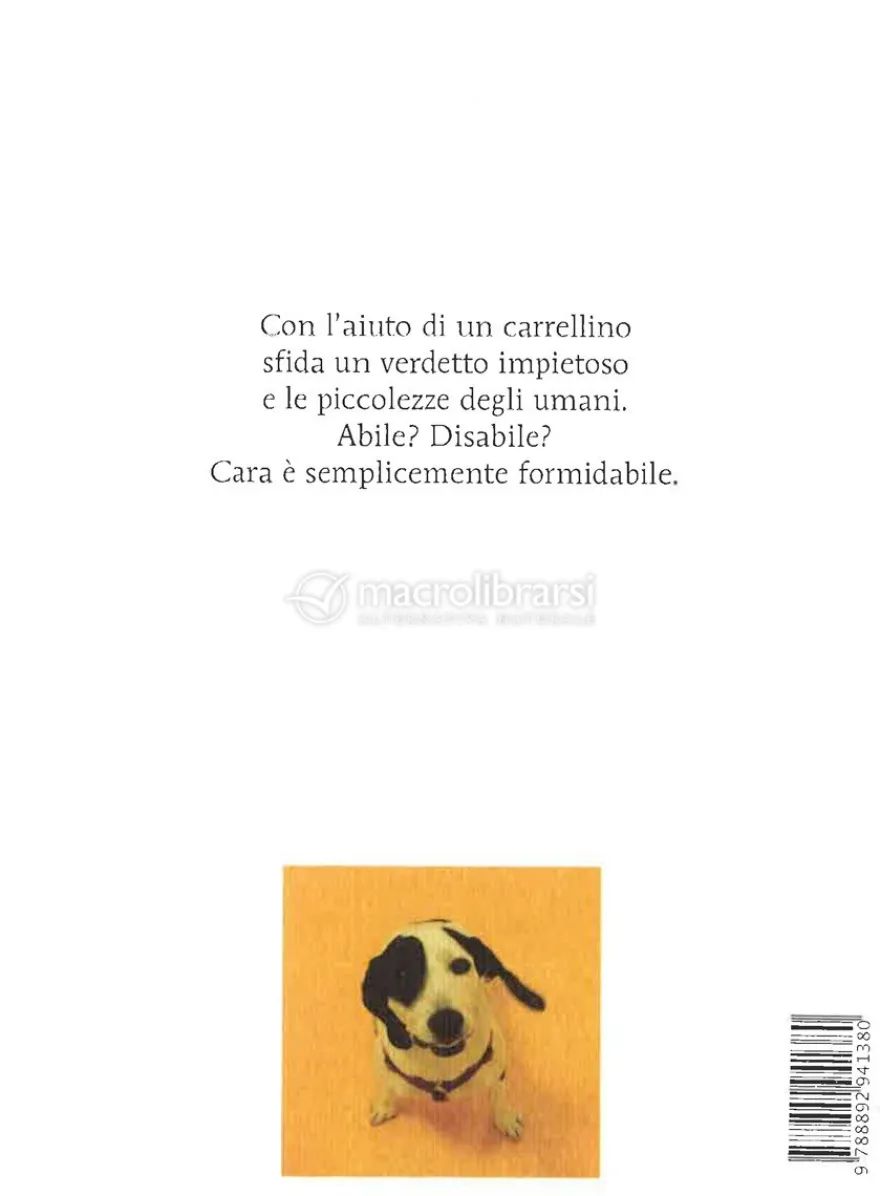 Abile Disabile Formidabile