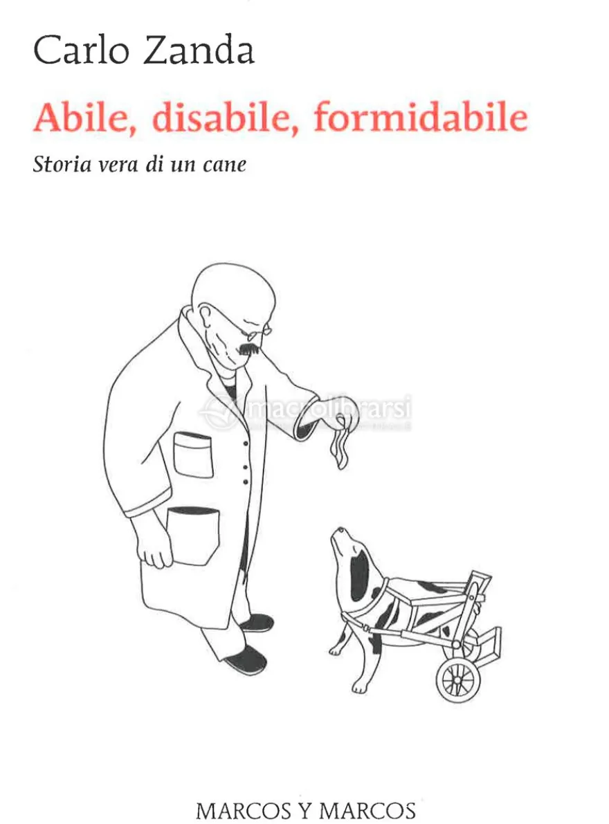 Abile Disabile Formidabile