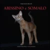 Abissino e Somalo