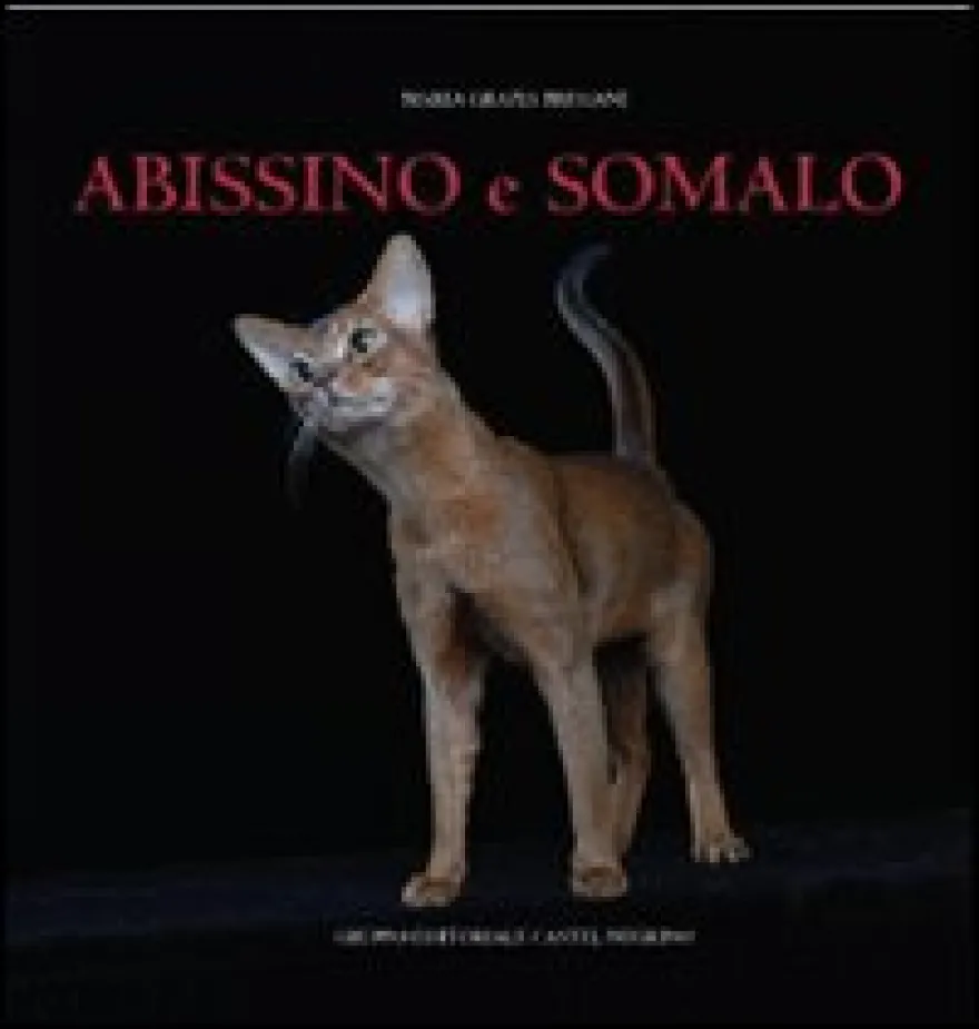 Abissino e Somalo