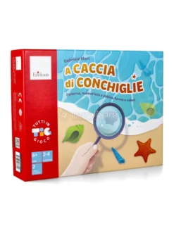 A Caccia di Conchiglie