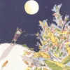 Accendi la Notte