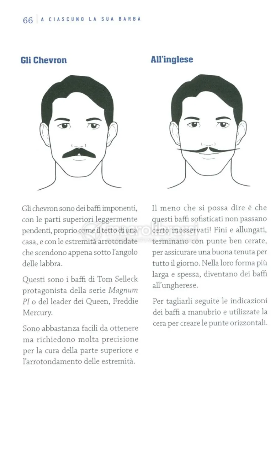 A Ciascuno la sua Barba