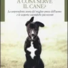 A Cosa Serve il Cane?