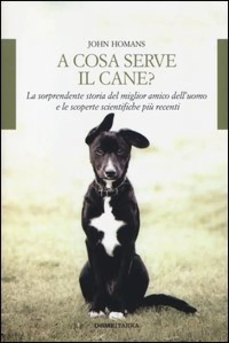 A Cosa Serve il Cane?