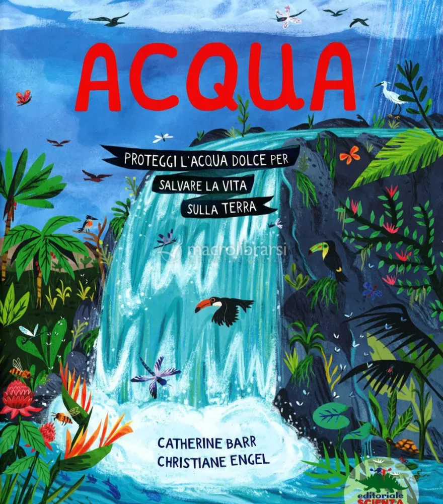 Acqua