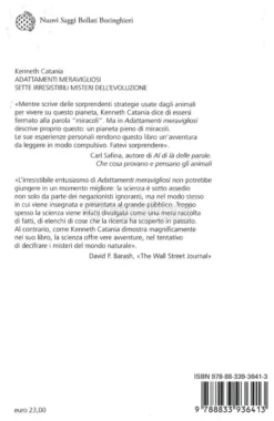Adattamenti Meravigliosi