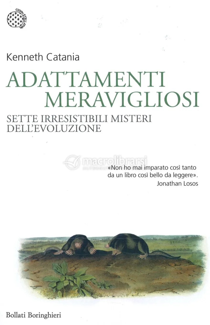 Adattamenti Meravigliosi
