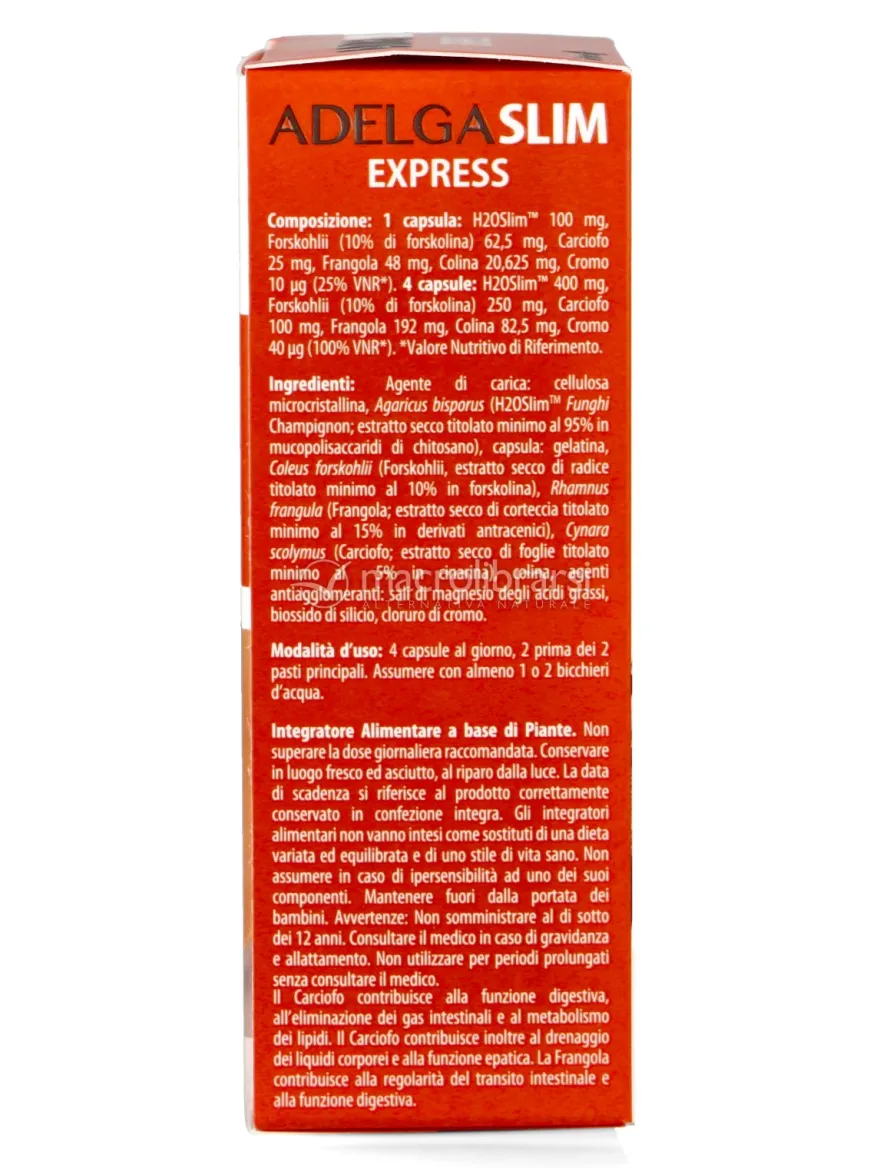 Adelga Slim Express