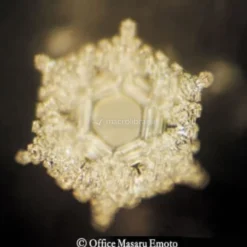 Adesivo per la Memoria dell'Acqua Amore e Gratitudine - Serie Crystal - Made in Italy