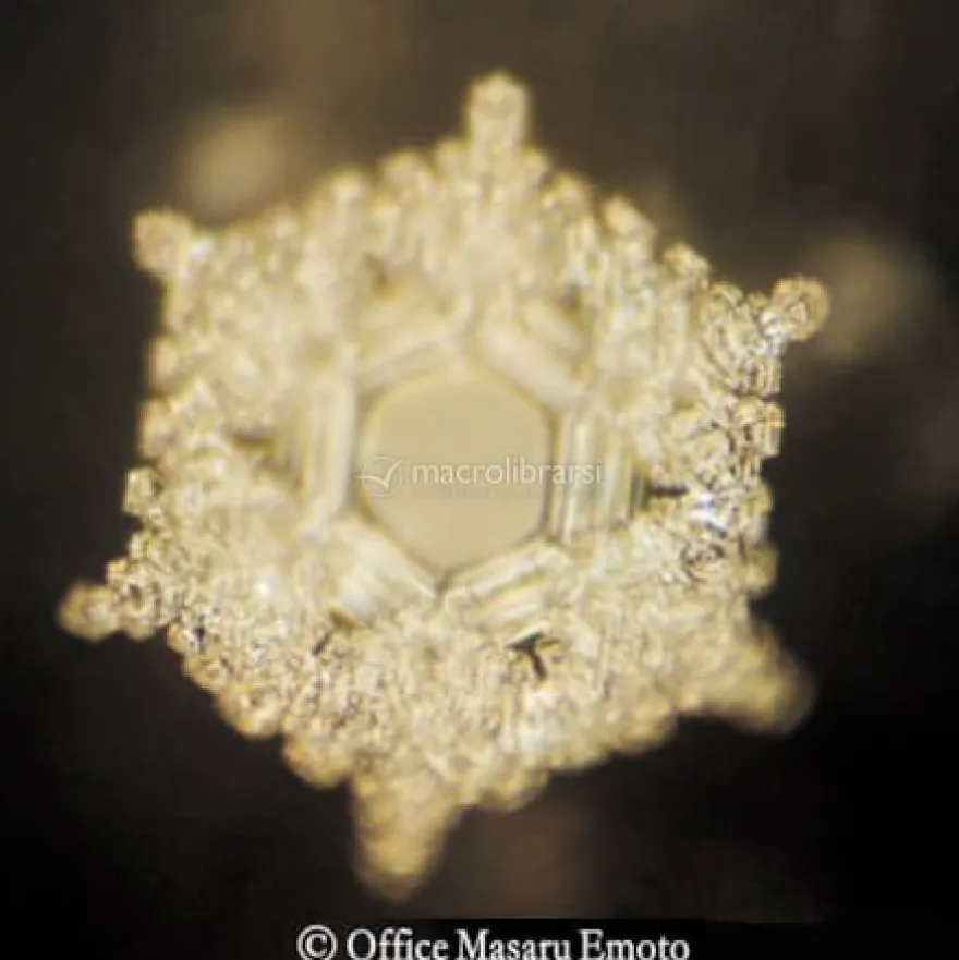 Adesivo per la Memoria dell'Acqua Amore e Gratitudine - Serie Crystal - Made in Italy