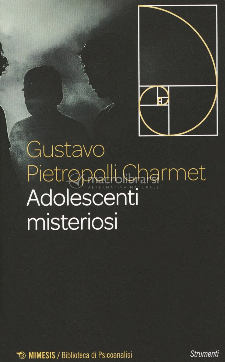Adolescenti Misteriosi