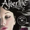 Afterlife