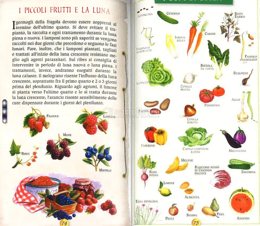 Agendina - Lunario delle Semine e dei Lavori