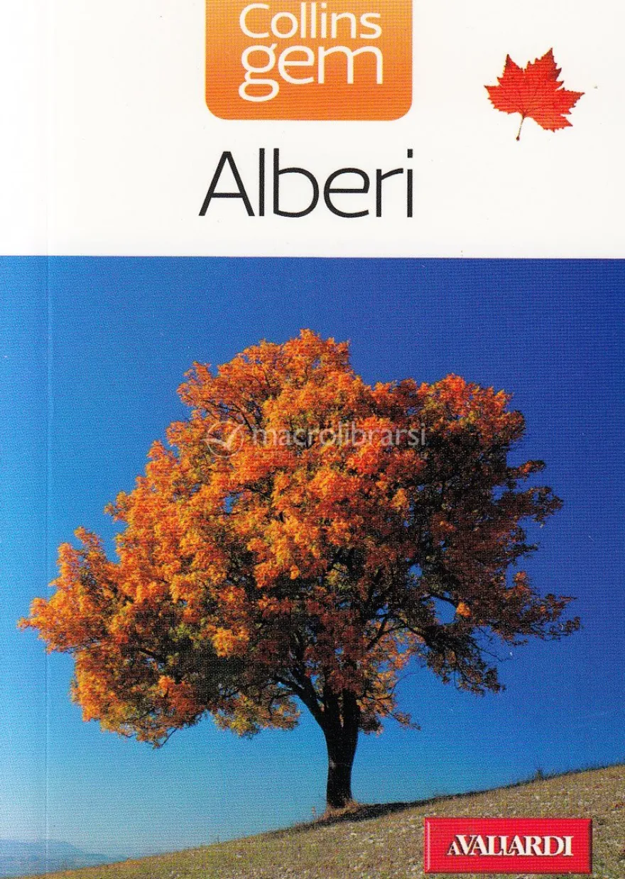 Alberi