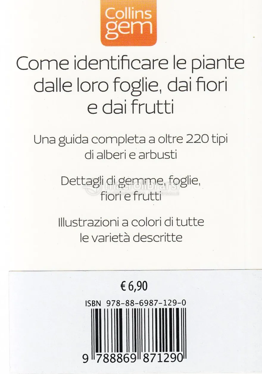 Alberi