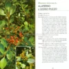 Alberi e Arbusti