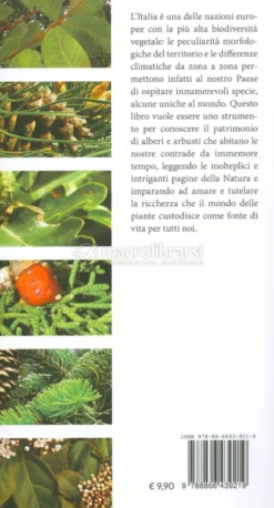 Alberi e Arbusti