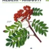 Alberi e Arbusti
