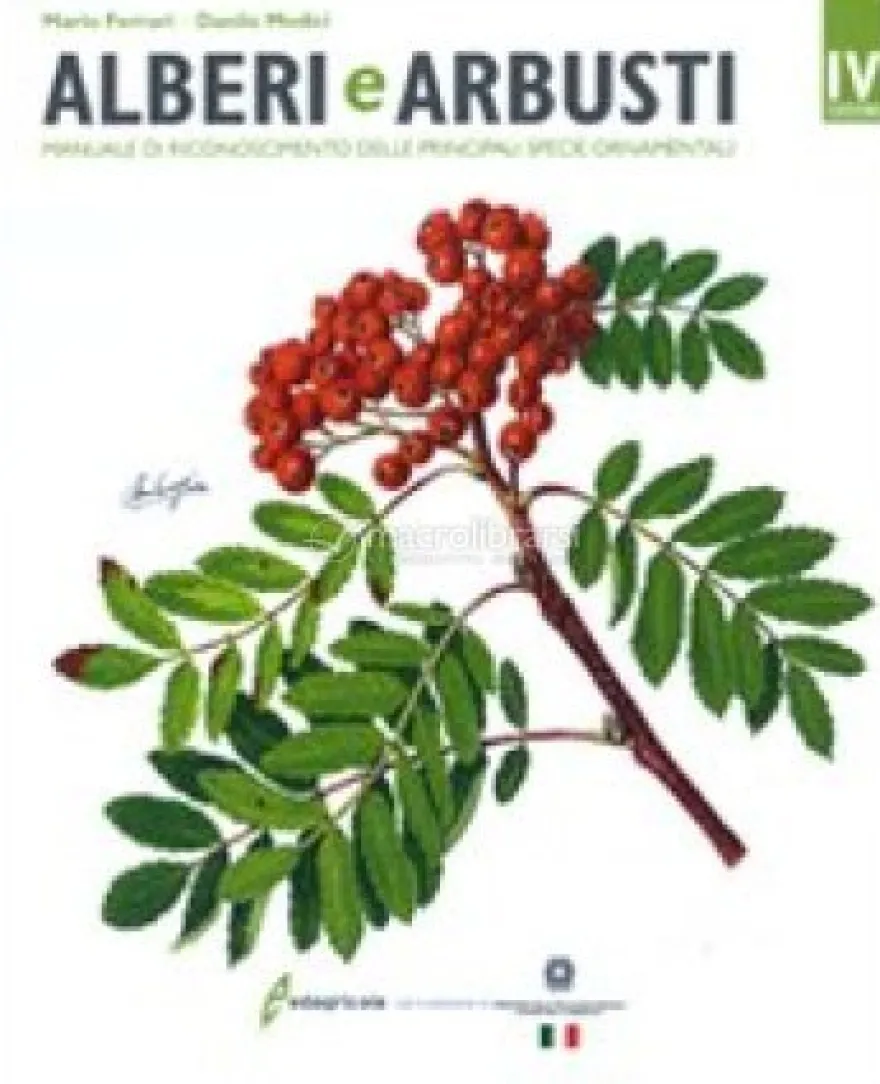 Alberi e Arbusti