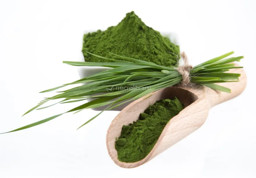 Alga Chlorella in Polvere Bio - 125 g