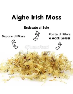 Alghe Irish Moss Essiccate Biologiche