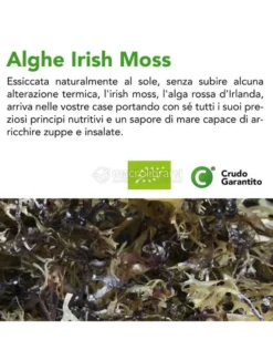 Alghe Irish Moss Essiccate Biologiche