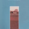 Alimentazione e Coscienza