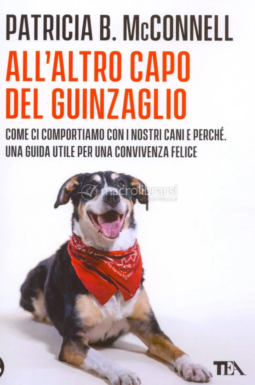All'altro Capo del Guinzaglio