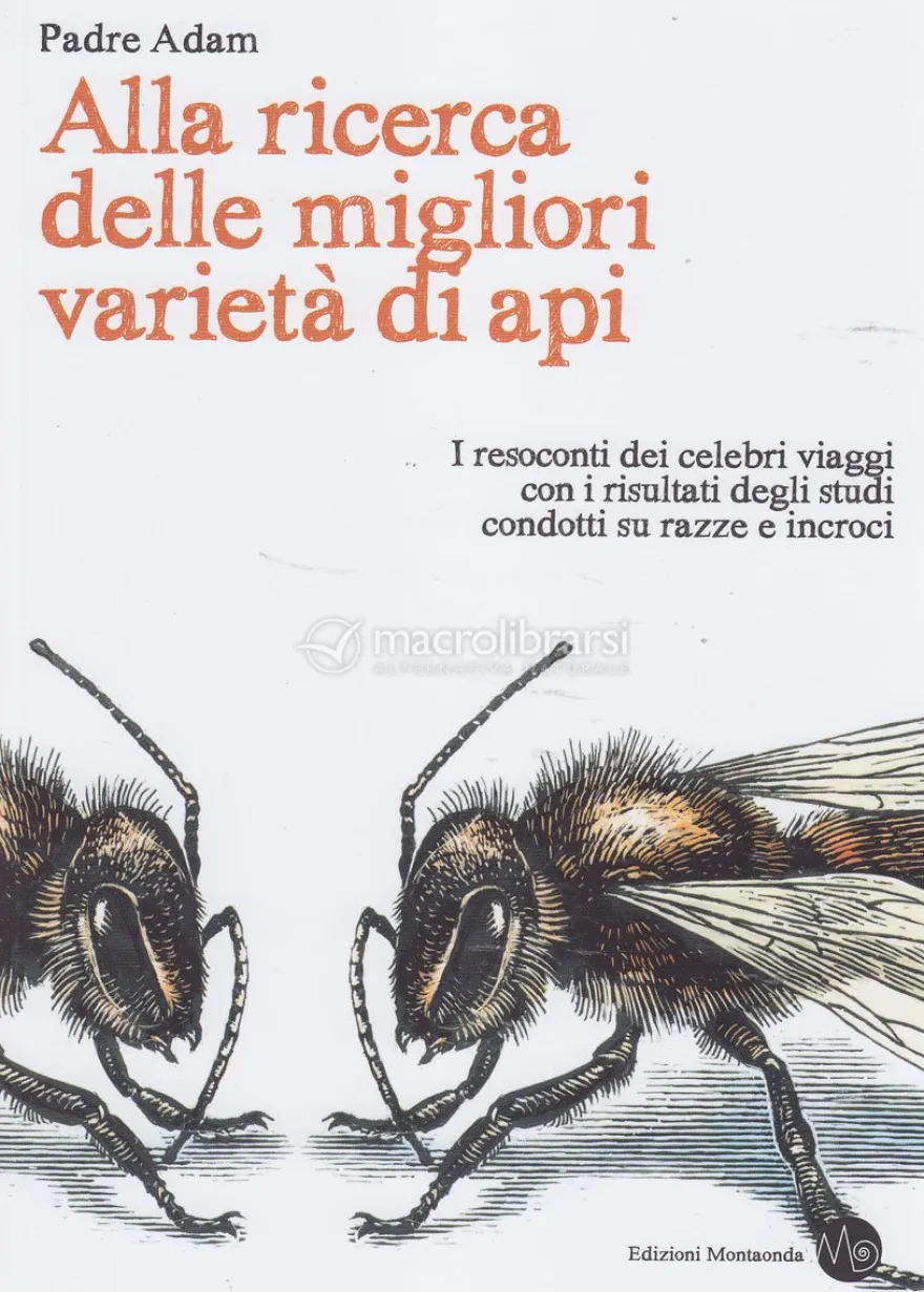 Alla Ricerca delle Migliori Varietà di Api