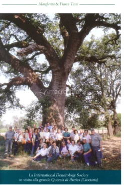Alla Scoperta dei Patriarchi Arborei