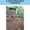 Allevare Starne, Pernici Rosse e Conturnici a scopo Ripopolamento e Ornamentale