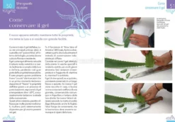 Aloe - La Pianta che Cura