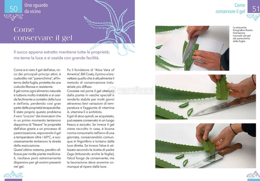 Aloe - La Pianta che Cura