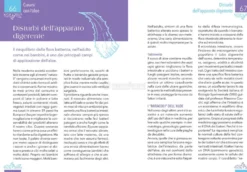 Aloe - La Pianta che Cura
