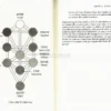 Alta Magick