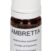 Ambretta - Olio Essenziale Puro
