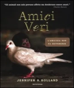 Amici Veri
