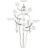 Anatomia Esoterica - Vol. 2