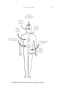 Anatomia Esoterica - Vol. 2