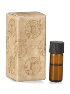 Angelica - Olio Essenziale Bio