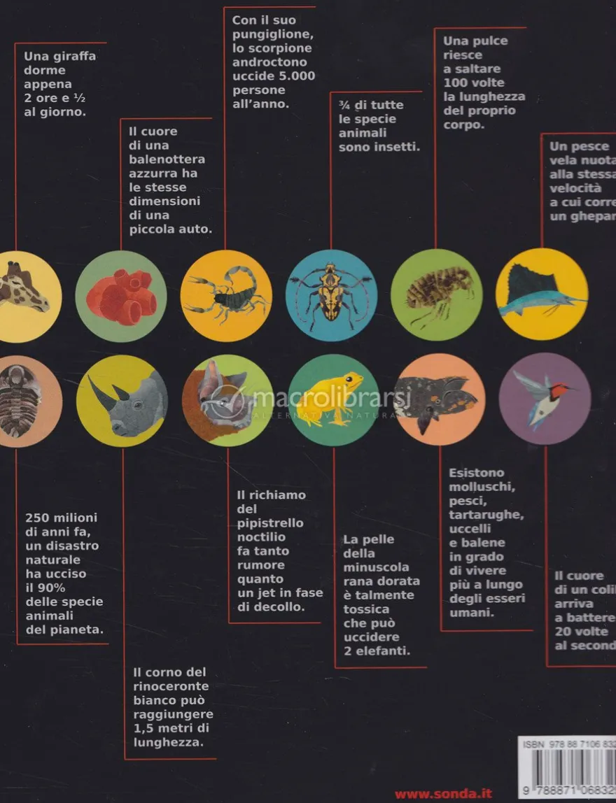 Animali in Cifre