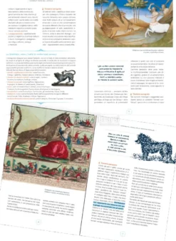 Animali Magici