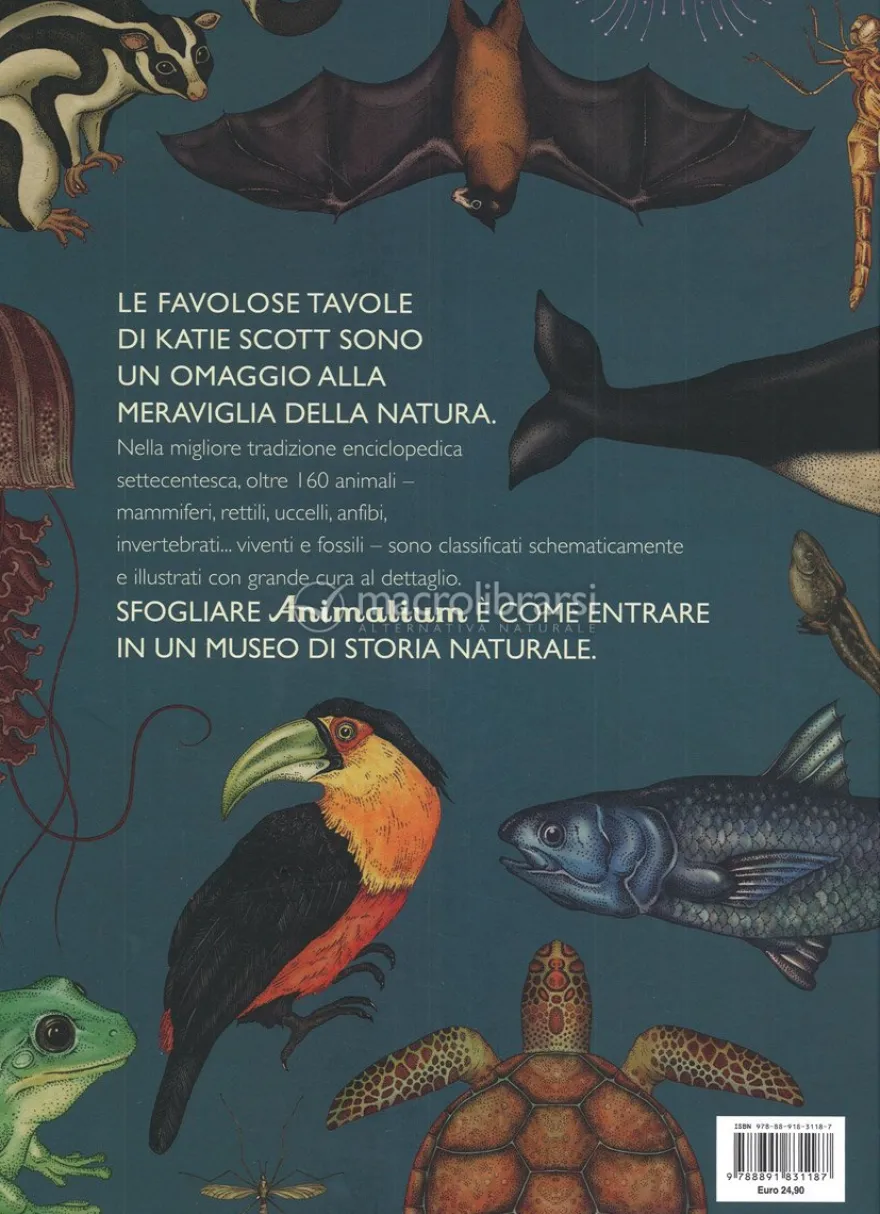 Animalium