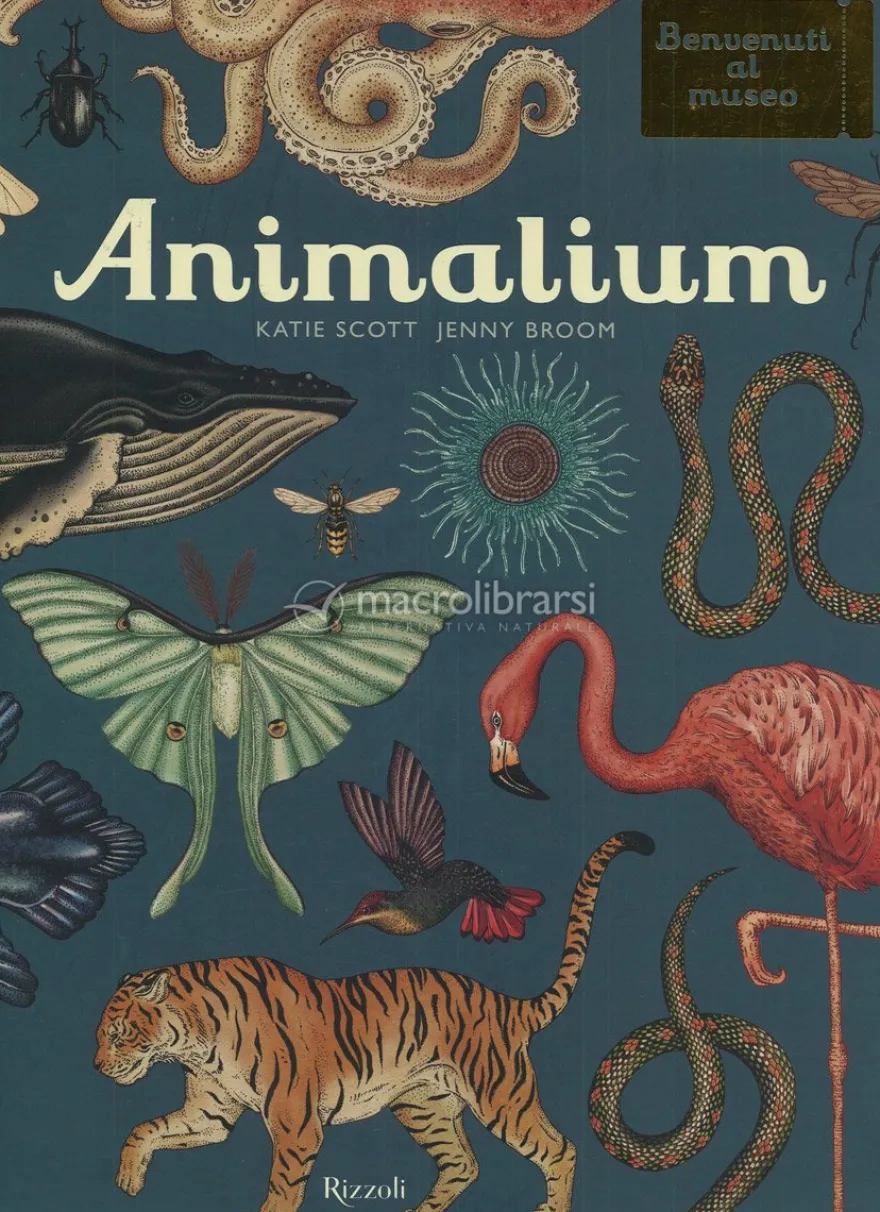 Animalium