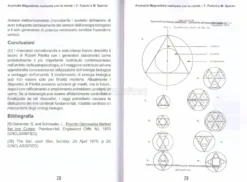 Anomalie Magnetiche Realizzate con la Mente