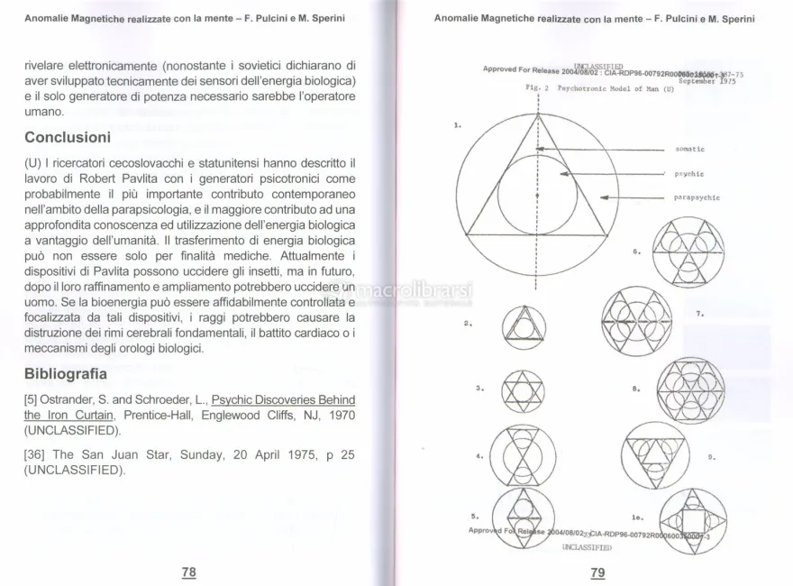 Anomalie Magnetiche Realizzate con la Mente