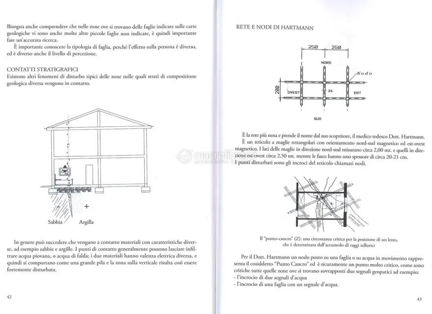 Antenna Uomo